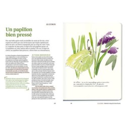 Le doryphore n'aime que les patates - 60 chroniques de végétaux, d'insectes et autres petites bestioles du jardin Le doryphore n'aime que les patates - 60 chroniques de végétaux, d'insectes et autres petites bestioles du jardin
