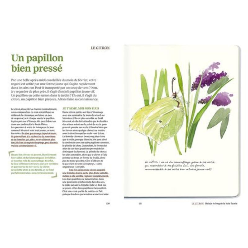 Le doryphore n'aime que les patates - 60 chroniques de végétaux, d'insectes et autres petites bestioles du jardin Le doryphore n'aime que les patates - 60 chroniques de végétaux, d'insectes et autres petites bestioles du jardin