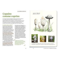 Le doryphore n'aime que les patates - 60 chroniques de végétaux, d'insectes et autres petites bestioles du jardin Le doryphore n'aime que les patates - 60 chroniques de végétaux, d'insectes et autres petites bestioles du jardin