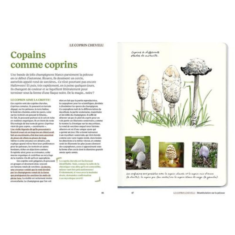 Le doryphore n'aime que les patates - 60 chroniques de végétaux, d'insectes et autres petites bestioles du jardin Le doryphore n'aime que les patates - 60 chroniques de végétaux, d'insectes et autres petites bestioles du jardin
