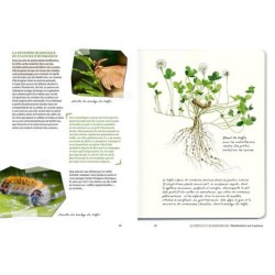 Le doryphore n'aime que les patates - 60 chroniques de végétaux, d'insectes et autres petites bestioles du jardin Le doryphore n'aime que les patates - 60 chroniques de végétaux, d'insectes et autres petites bestioles du jardin