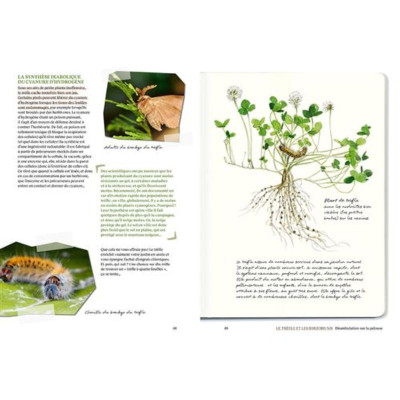 Le doryphore n'aime que les patates - 60 chroniques de végétaux, d'insectes et autres petites bestioles du jardin Le doryphore n'aime que les patates - 60 chroniques de végétaux, d'insectes et autres petites bestioles du jardin