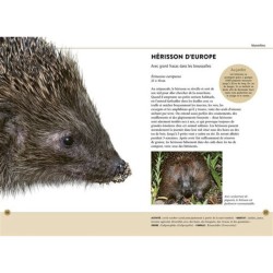 Reconnaître facilement les animaux du jardin