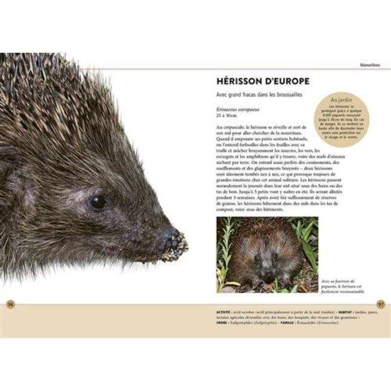 Reconnaître facilement les animaux du jardin