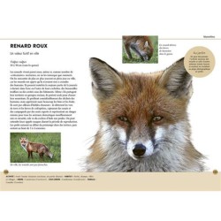 Reconnaître facilement les animaux du jardin