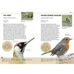 Reconnaître facilement les animaux du jardin