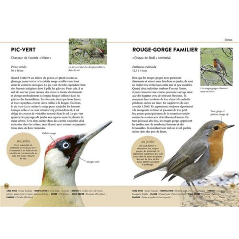 Reconnaître facilement les animaux du jardin