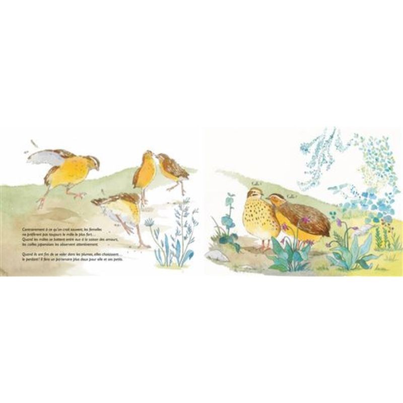 Fortes et flamboyantes ! - Les femelles dans le monde animal Fortes et flamboyantes ! - Les femelles dans le monde animal