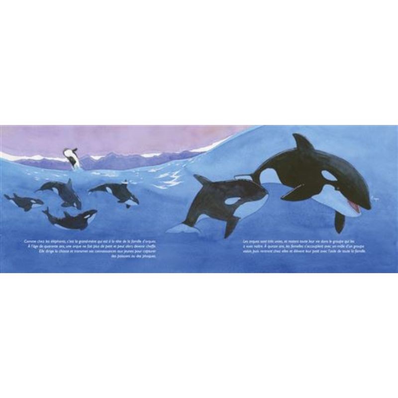 Fortes et flamboyantes ! - Les femelles dans le monde animal Fortes et flamboyantes ! - Les femelles dans le monde animal