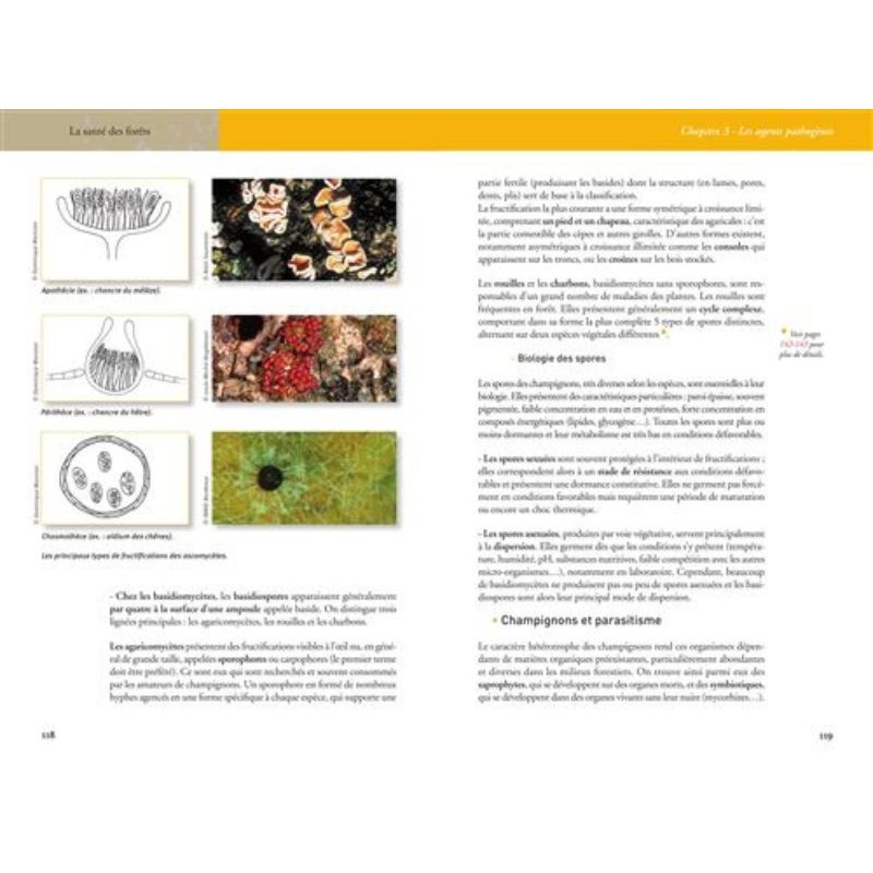 La santé des forêts - 2ème Edition La santé des forêts - 2ème Edition