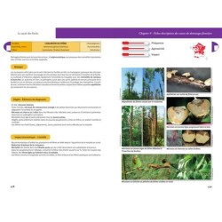 La santé des forêts - 2ème Edition La santé des forêts - 2ème Edition