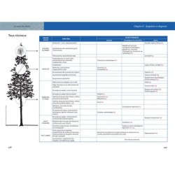 La santé des forêts - 2ème Edition La santé des forêts - 2ème Edition