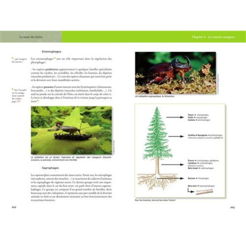 La santé des forêts - 2ème Edition La santé des forêts - 2ème Edition