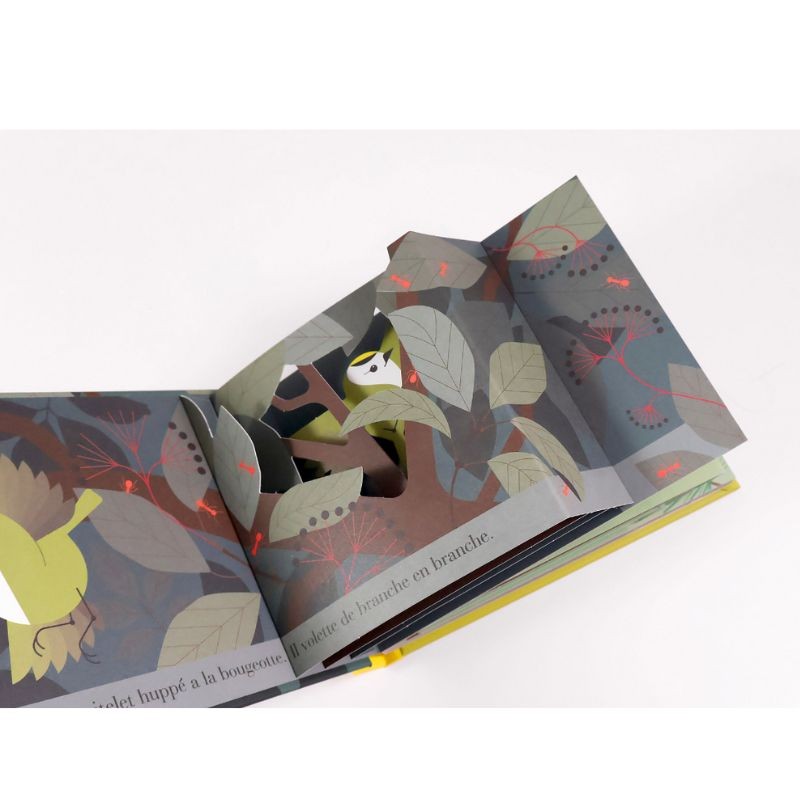 Le roitelet huppé - Un oiseau turbulent