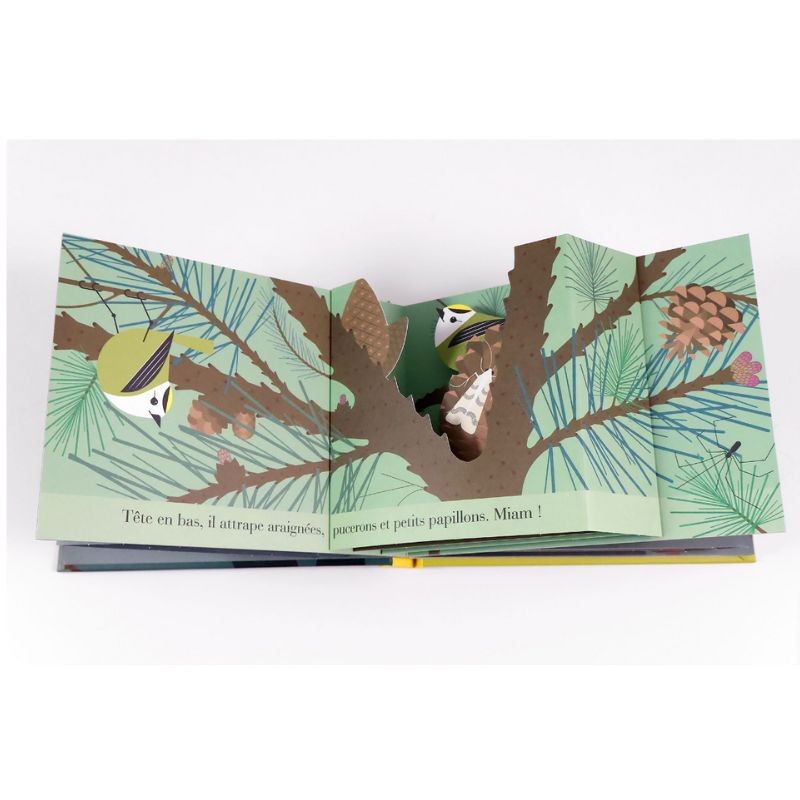 Le roitelet huppé - Un oiseau turbulent