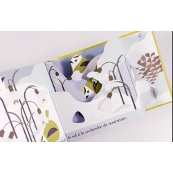 Le roitelet huppé - Un oiseau turbulent