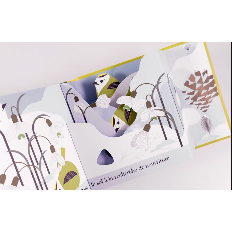 Le roitelet huppé - Un oiseau turbulent