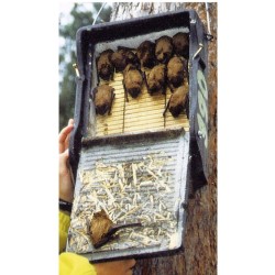 Gîte à chauves-souris plat avec panneau dorsal en bois - Béton de bois - Schwegler (1FF - 139/9) Gîte à chauves-souris plat avec panneau dorsal en bois - Béton de bois - Schwegler (1FF - 139/9)