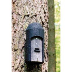 Gîte à chauves-souris avec paroi frontale triple - Béton de bois - Schwegler (1FD - 132/0)