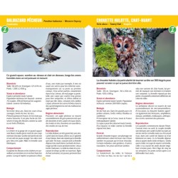 Oiseaux - Observer et reconnaître 50 espèces de nos régions