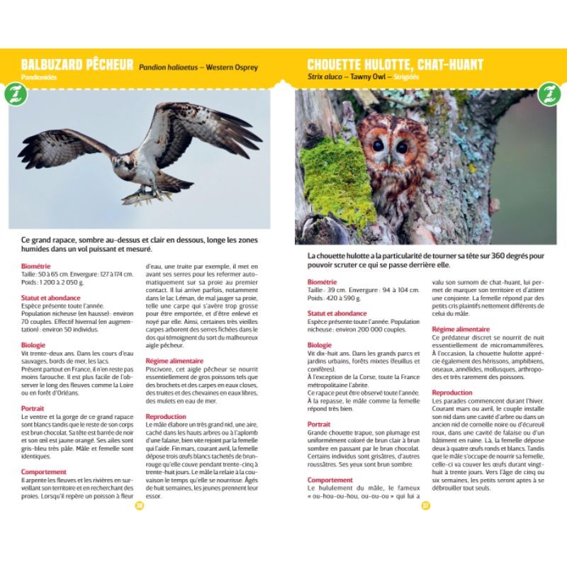 Oiseaux - Observer et reconnaître 50 espèces de nos régions