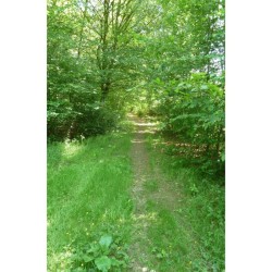 GRP 151 - Sentiers de l'Ardenne - Tour du Luxembourg belge GRP 151 - Sentiers de l'Ardenne - Tour du Luxembourg belge