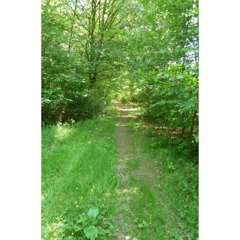 GRP 151 - Sentiers de l'Ardenne - Tour du Luxembourg belge GRP 151 - Sentiers de l'Ardenne - Tour du Luxembourg belge