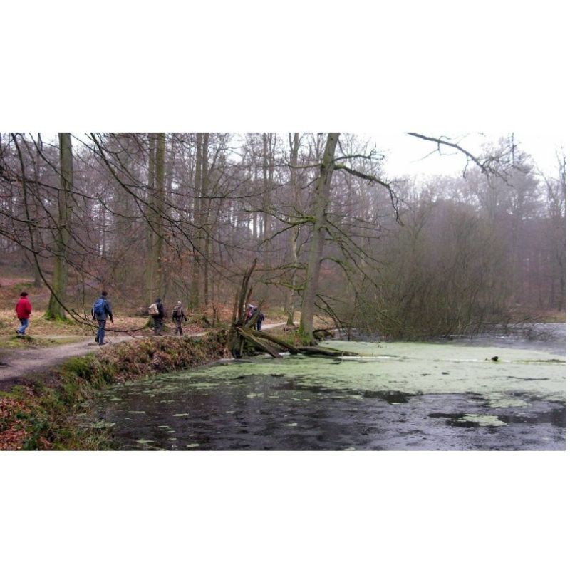 GR - Randonnées en Boucle à Bruxelles et dans sa périphérie GR - Randonnées en Boucle à Bruxelles et dans sa périphérie