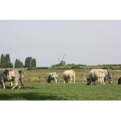 GR - Randonnées en Boucle à Bruxelles et dans sa périphérie GR - Randonnées en Boucle à Bruxelles et dans sa périphérie