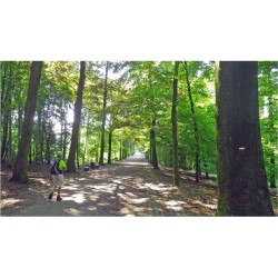 GR - Randonnées en Boucle à Bruxelles et dans sa périphérie GR - Randonnées en Boucle à Bruxelles et dans sa périphérie