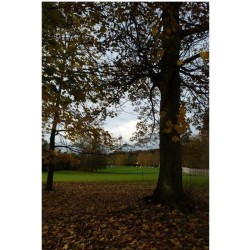 GR - Randonnées en Boucle à Bruxelles et dans sa périphérie GR - Randonnées en Boucle à Bruxelles et dans sa périphérie