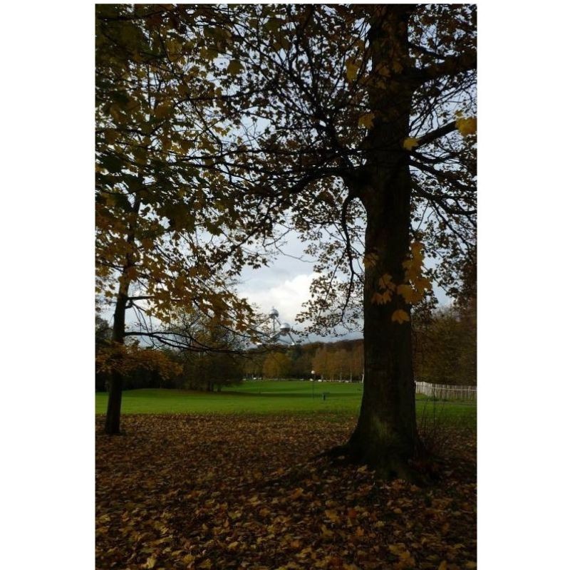 GR - Randonnées en Boucle à Bruxelles et dans sa périphérie GR - Randonnées en Boucle à Bruxelles et dans sa périphérie