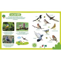 Les oiseaux - Mon imagier sonore