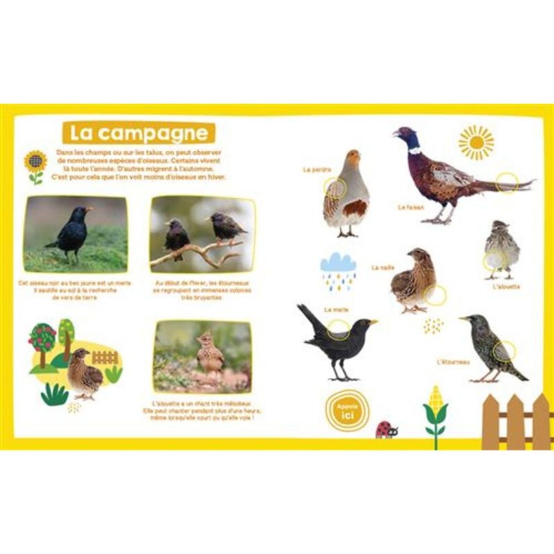 Les oiseaux - Mon imagier sonore