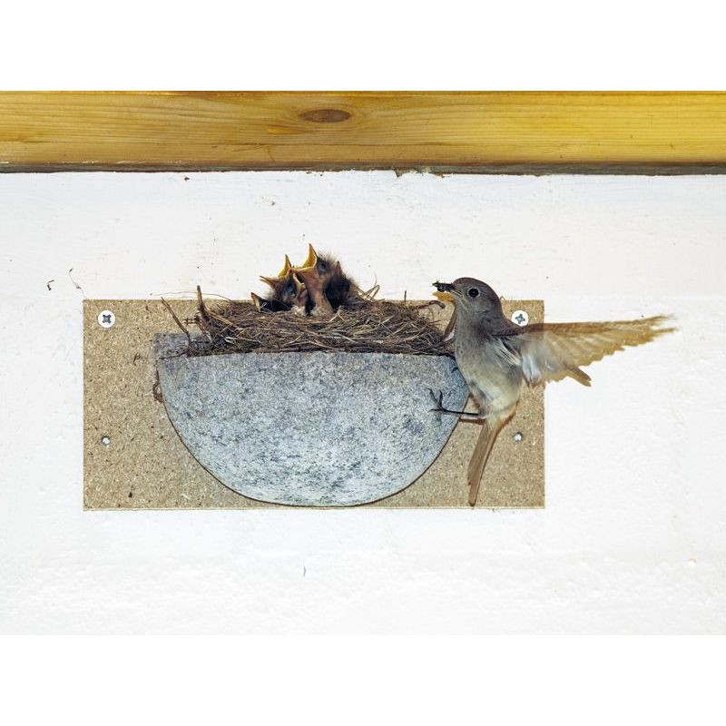 Nichoir pour Hirondelle rustique - Schwegler (N° 10 - 330/0)