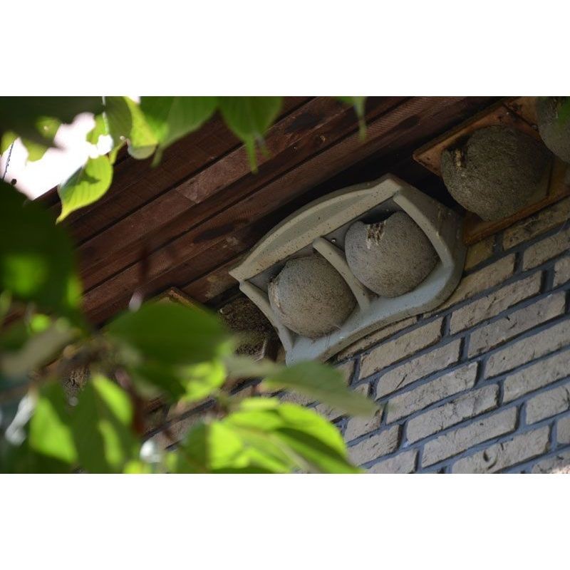 Nichoir pour Hirondelle de fenêtre n°11 - Schwegler (340/9) Nichoir pour Hirondelle de fenêtre n°11 - Schwegler (340/9)