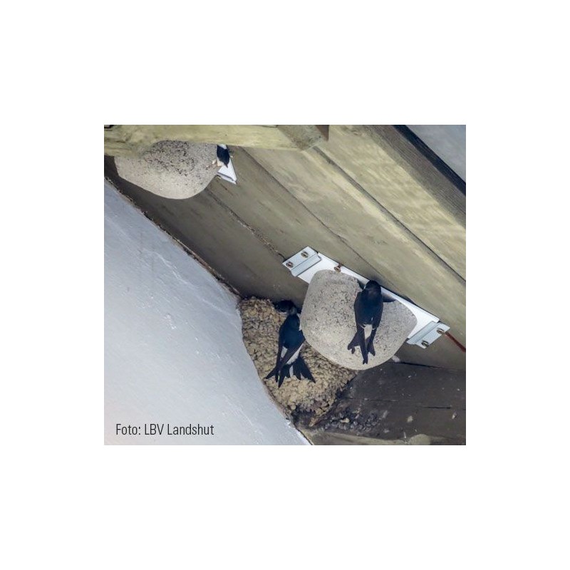 Nichoir pour hirondelles de fenêtre - Simple - Béton de bois - Schwegler (Nº13-315/7)