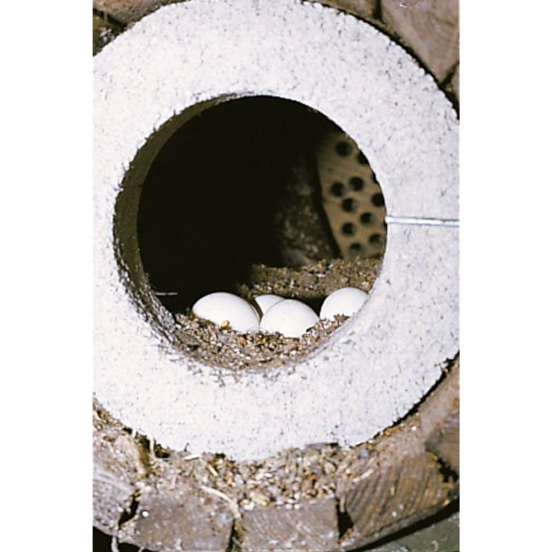 Nichoir pour Chevêche d'Athéna avec protection anti-carnassier - Schwegler (N°20A - 241/9)