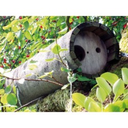 Nichoir pour Chevêche d'Athéna avec protection anti-carnassier - Schwegler (N°20A - 241/9)