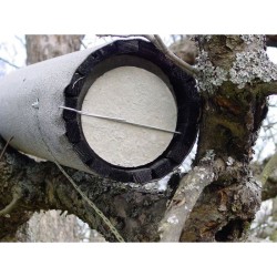 Nichoir pour Chevêche d'Athéna avec protection anti-carnassier et aération - Schwegler (N°20B - 247/1)