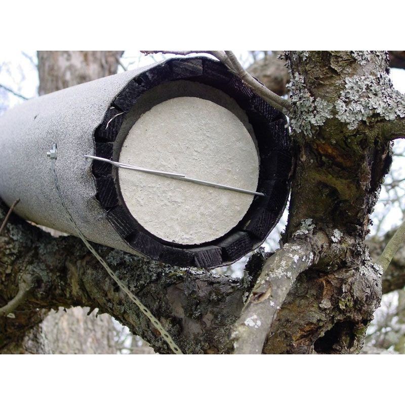 Nichoir pour Chevêche d'Athéna avec protection anti-carnassier et aération - Schwegler (N°20B - 247/1)