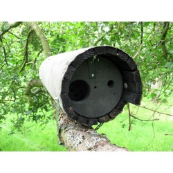 Nichoir pour Chevêche d'Athéna avec protection anti-carnassier et aération - Schwegler (N°20B - 247/1)