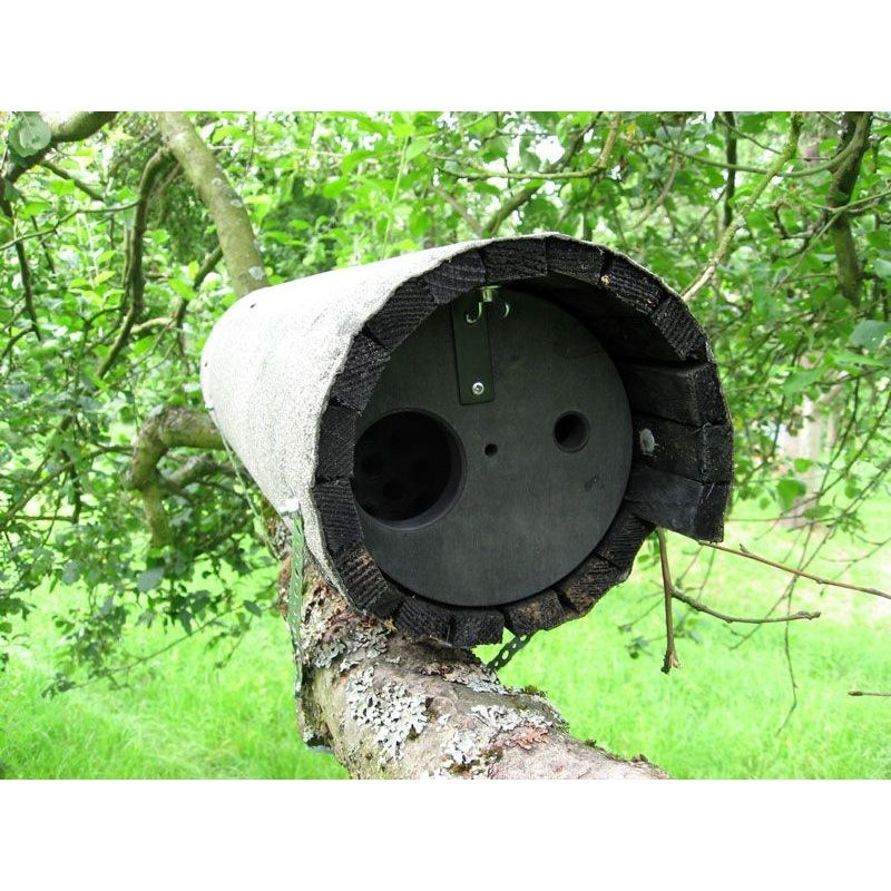 Nichoir pour Chevêche d'Athéna avec protection anti-carnassier et aération - Schwegler (N°20B - 247/1)