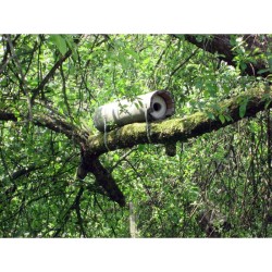 Nichoir pour Chevêche d'Athéna - Schwegler (N°20 - 240/2)