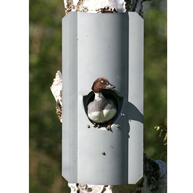 Nichoir pour Chouette hulotte avec protection anti-carnassiers - Schwegler (N° 5 - 184/9)