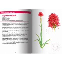 Fleurs des montagnes - Les petits livres de la nature Fleurs des montagnes - Les petits livres de la nature