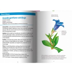 Fleurs des montagnes - Les petits livres de la nature Fleurs des montagnes - Les petits livres de la nature