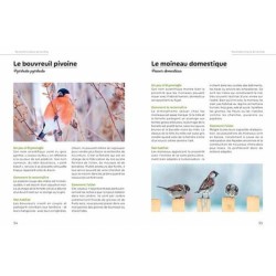 Accueillir la biodiversité en ville - Guide pratique pour balcons, terrasses et jardins Accueillir la biodiversité en ville - Guide pratique pour balcons, terrasses et jardins