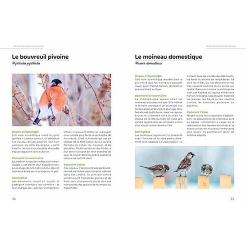 Accueillir la biodiversité en ville - Guide pratique pour balcons, terrasses et jardins Accueillir la biodiversité en ville - Guide pratique pour balcons, terrasses et jardins