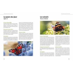 Accueillir la biodiversité en ville - Guide pratique pour balcons, terrasses et jardins Accueillir la biodiversité en ville - Guide pratique pour balcons, terrasses et jardins